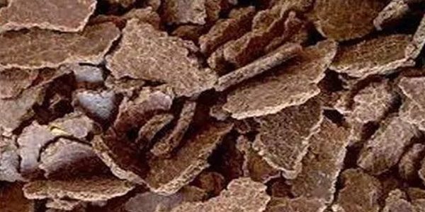 OILSEED CAKE & MEAL​